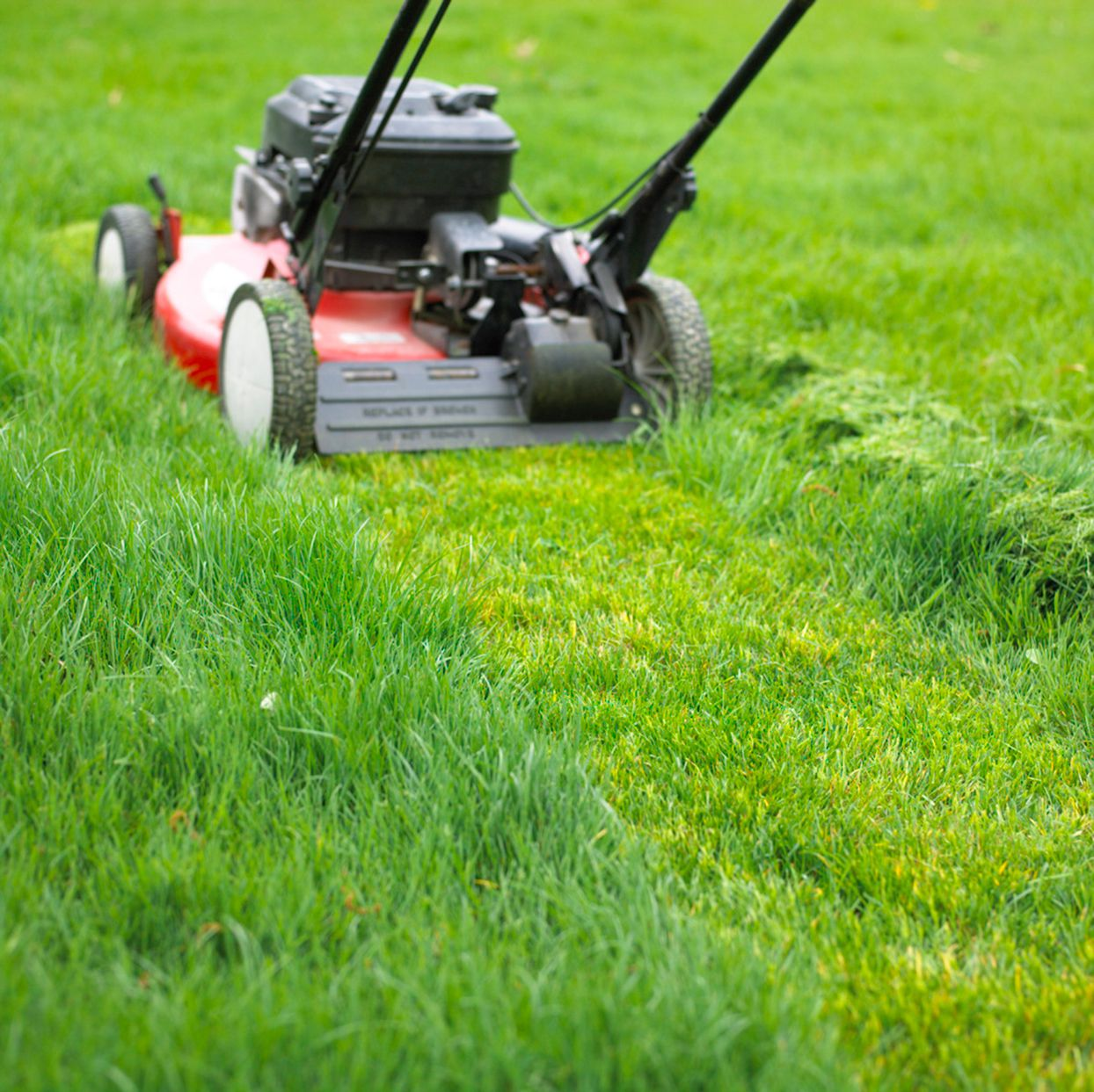 lawn-mowing